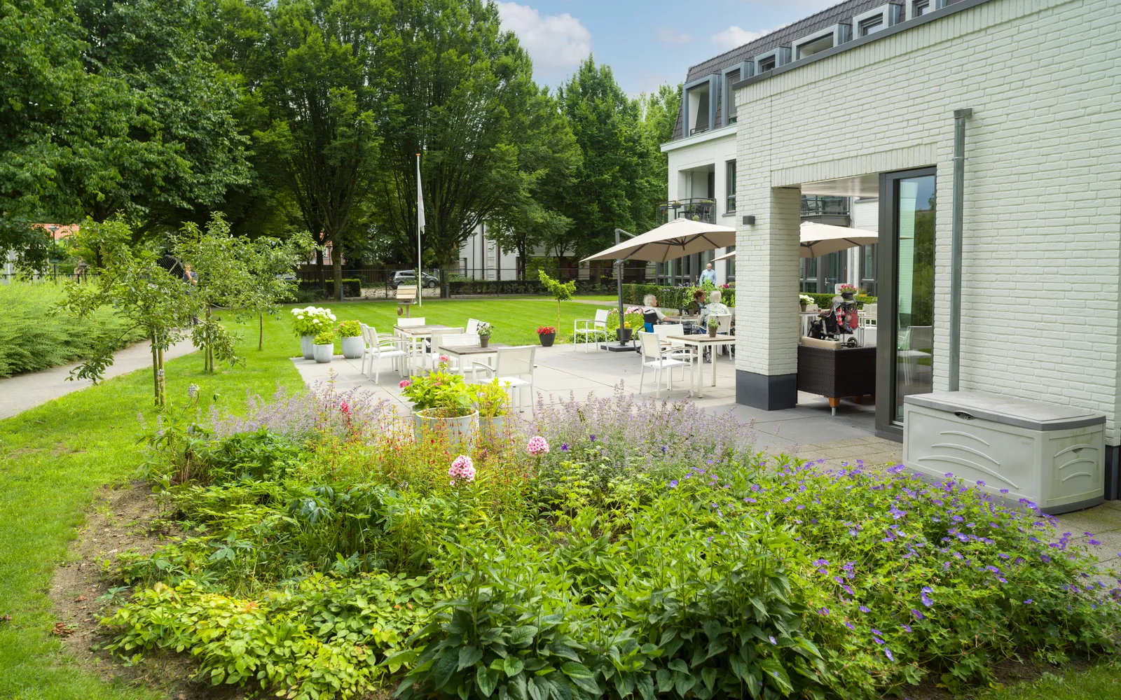 Villa De Kleine Heide – buiten – achtertuin met parasols en bewoners